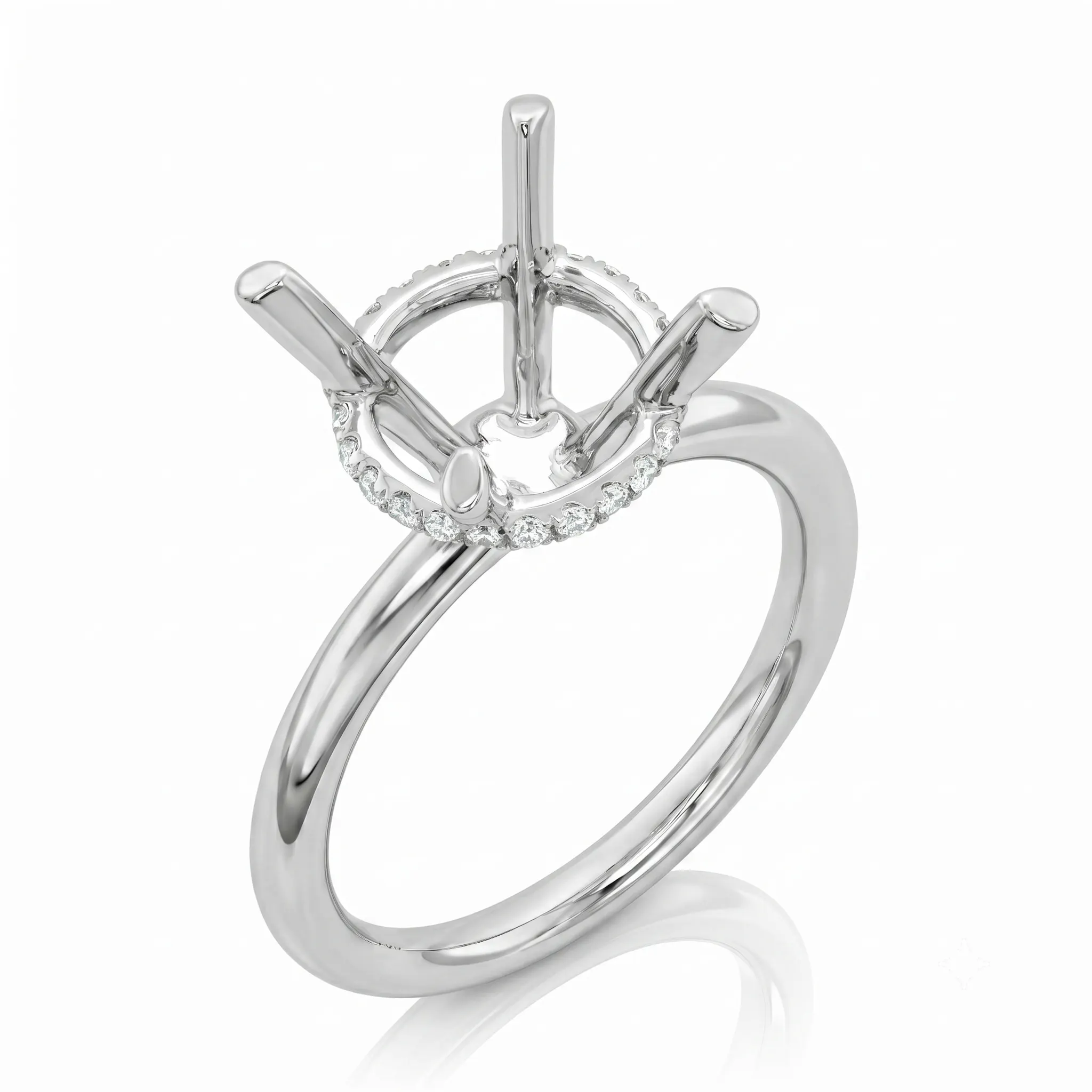 Vỏ Nhẫn 01R1024113